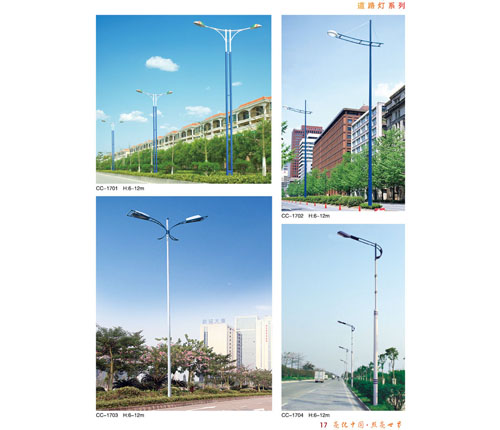 P017 单/双臂锥形路...