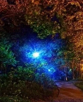 景观灯的“自然”美你知道吗？